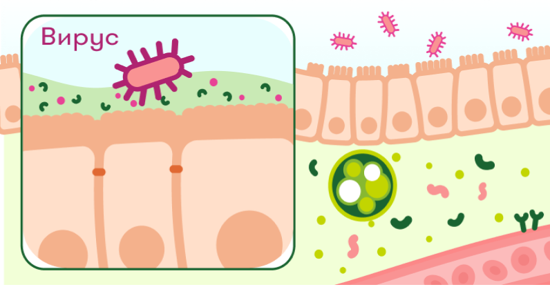 virus