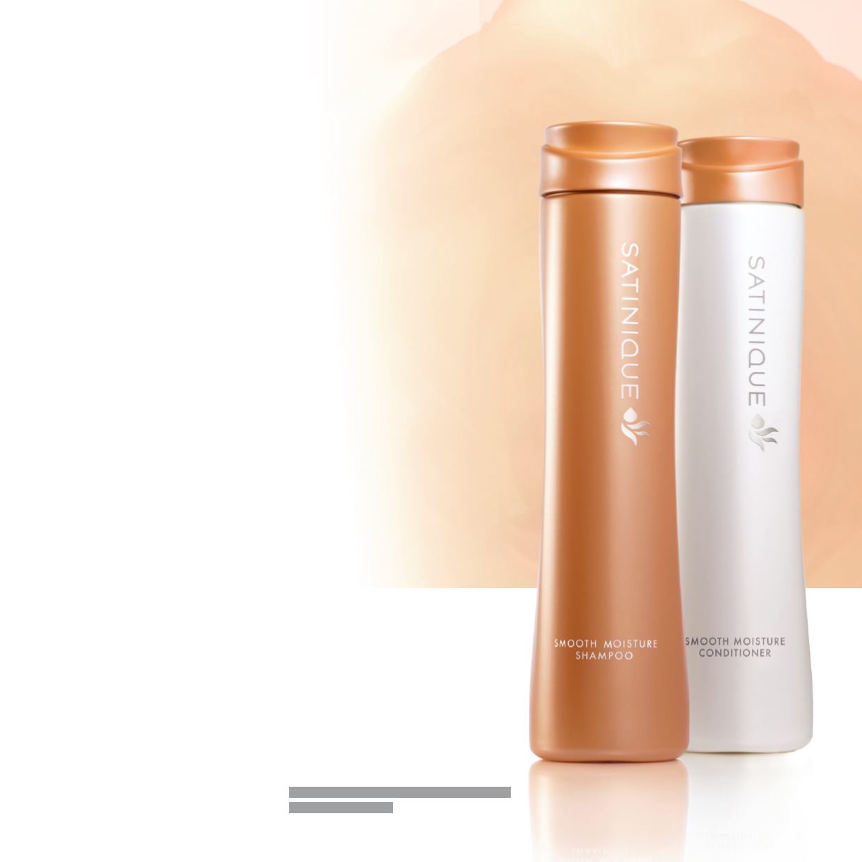 Amway презентация сатиник